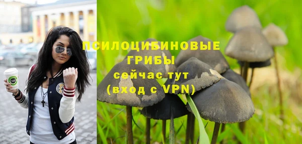 ПСИЛОЦИБИНОВЫЕ ГРИБЫ Алзамай