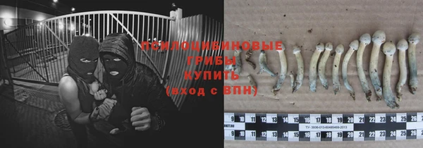 молекула духа Алексин