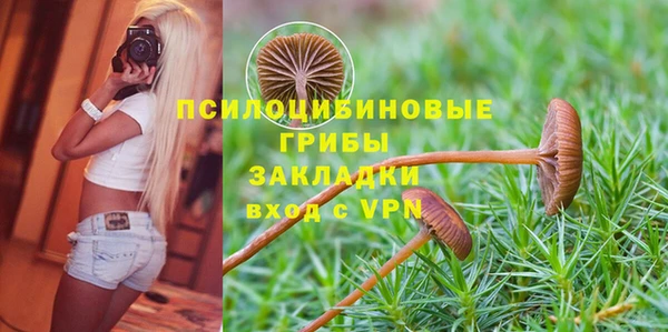 экстази Алексеевка