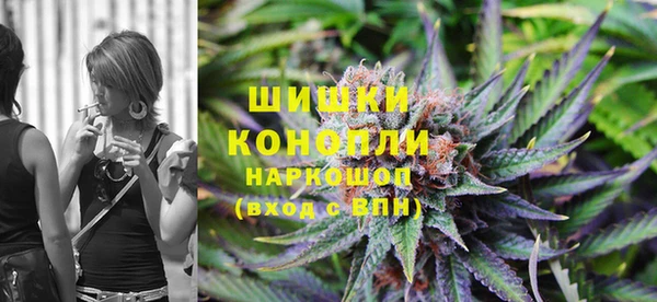 ПСИЛОЦИБИНОВЫЕ ГРИБЫ Алзамай
