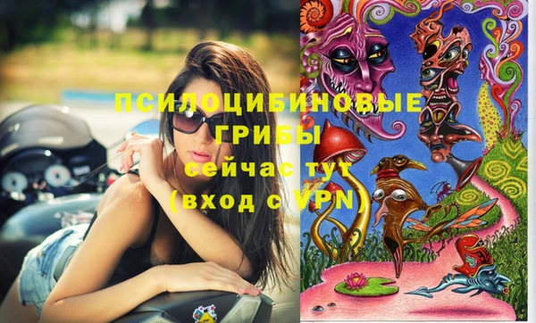 молекула духа Алексин