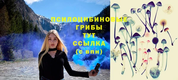 ПСИЛОЦИБИНОВЫЕ ГРИБЫ Алзамай