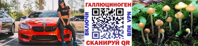 Псилоцибиновые грибы MAGIC MUSHROOMS  мега tor  Сельцо 